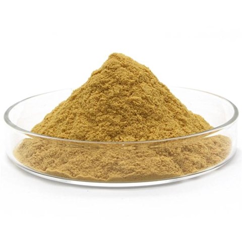 安徽聚合硫酸鐵投加混凝后污泥為何會上浮？